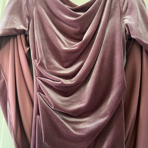 Betsy & Adam Rose Velvet Dress - Picture 4 of 14